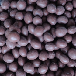 エッジバンド用接着剤：T-3567B