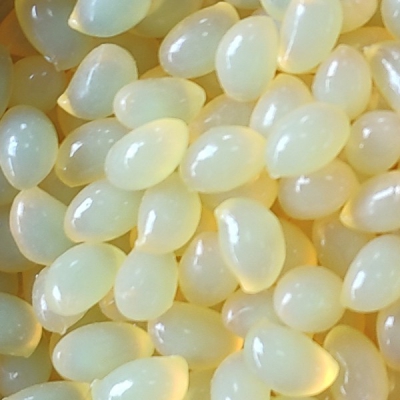 ドアパネルクラッディング エッジバンド用接着剤：T-3839