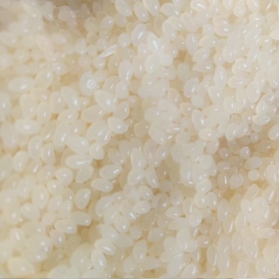 エッジバンド用接着剤：T-2415Y